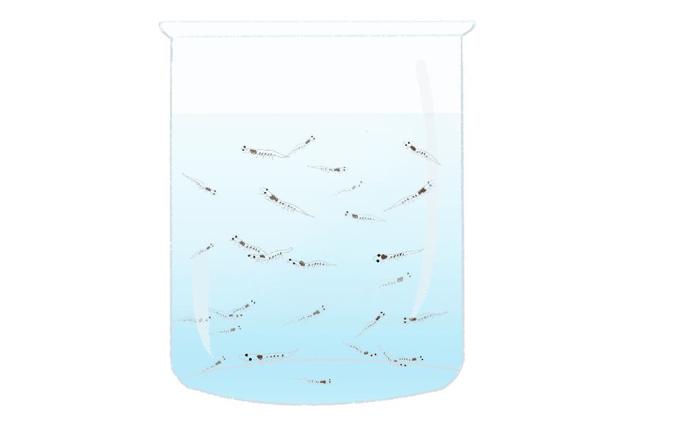Blue Aqua International Illustration 1