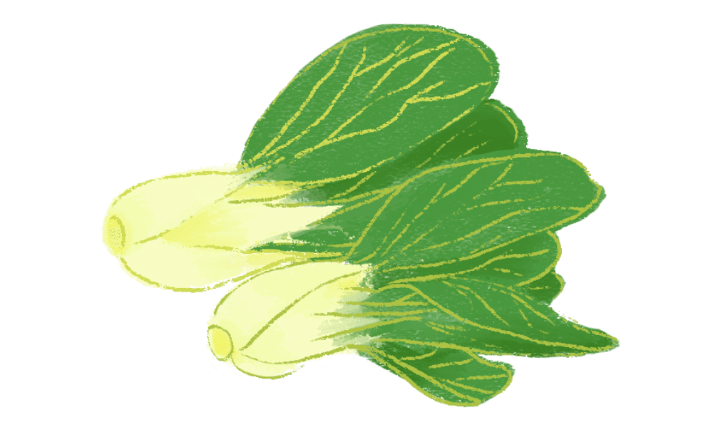 Yili Illustration 3