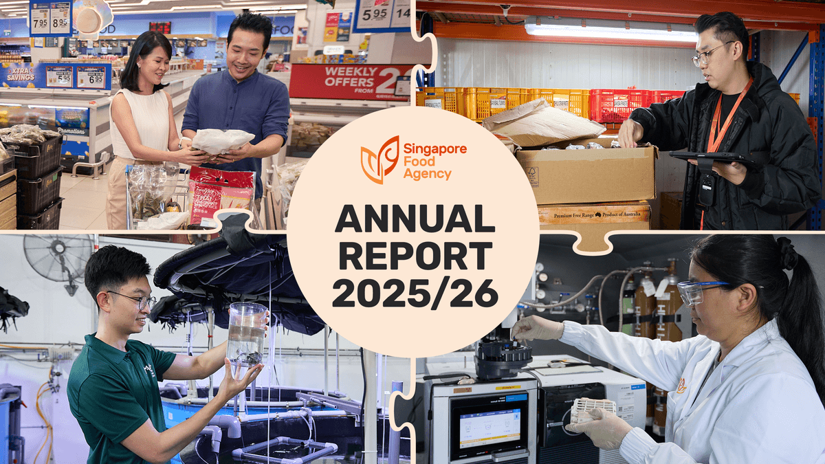 SFA's Annual Report 2025/2026