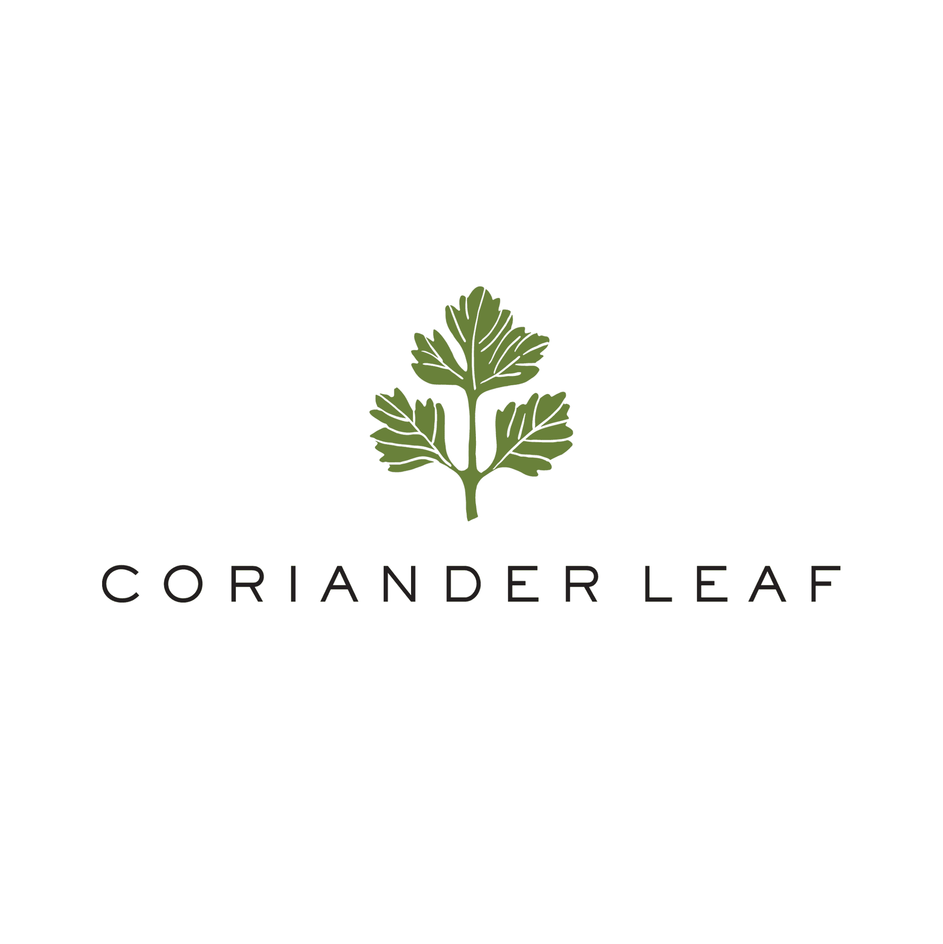 Coriander Leaf