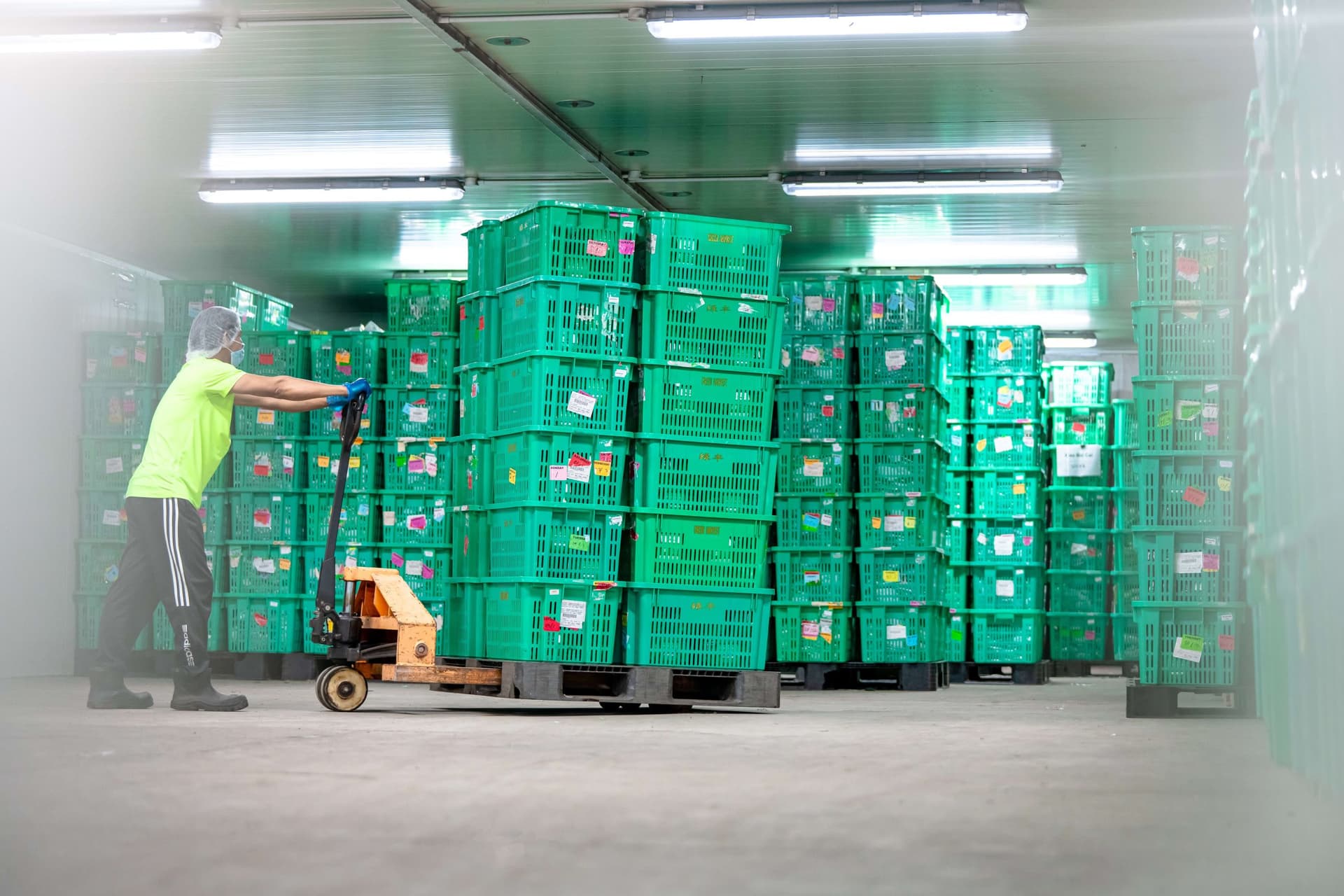 Green Harvest - Storage