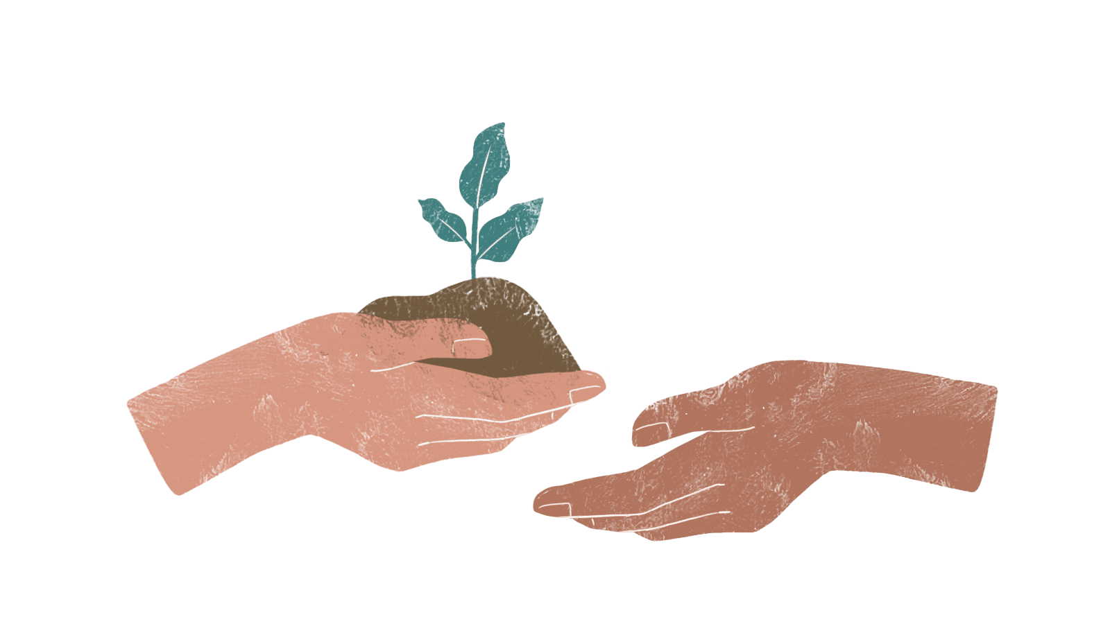 Netatech - CrowdFarmX
