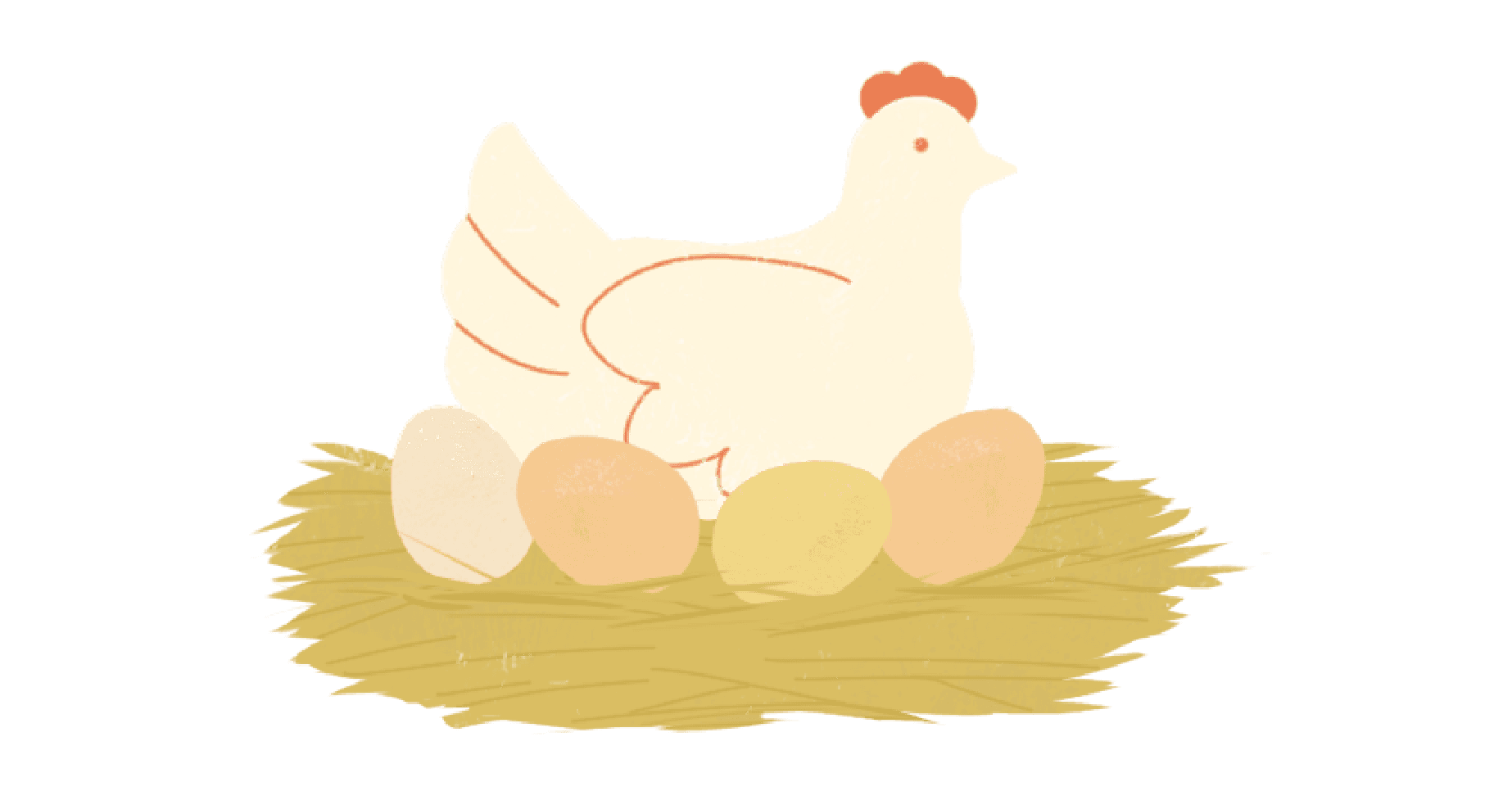 Chew's Agriculture - An egg takes approx 24-26 hours to form