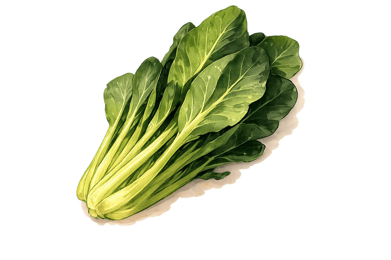 Komatsuma