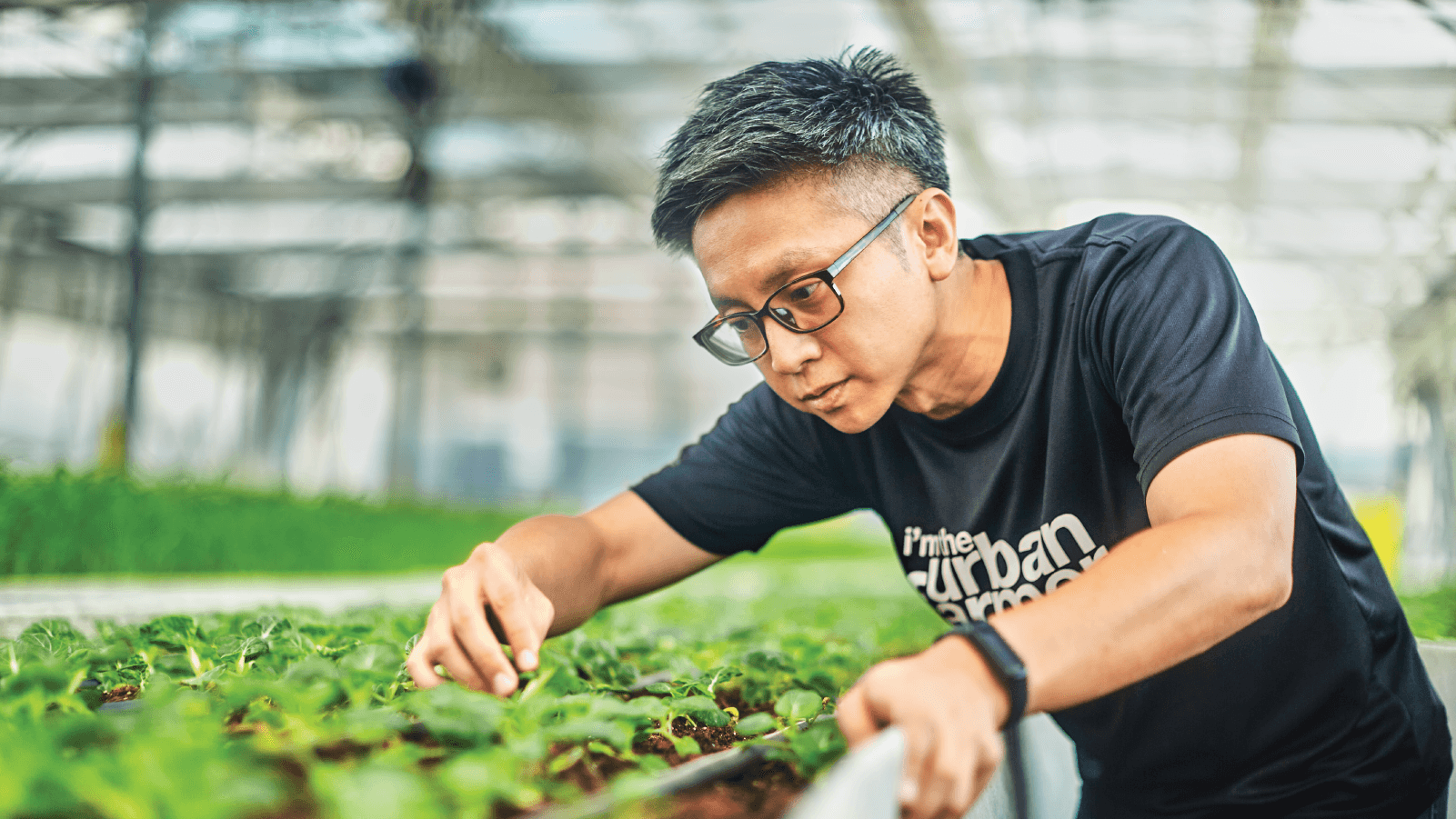 Daniel Wong