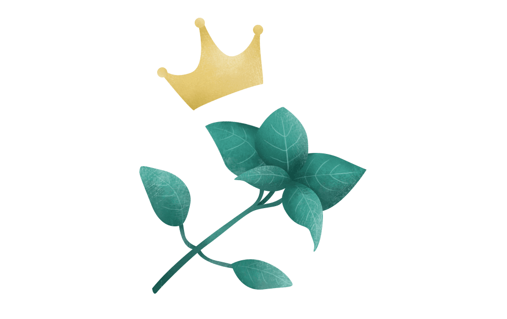 ComCrop - Basil’s name stems from the tin word ‘basileus’, which means ‘emperor’.