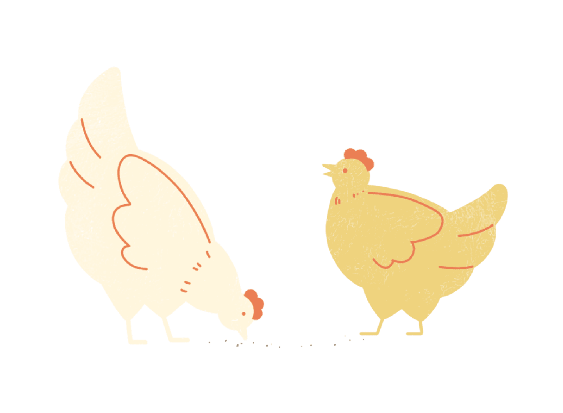 Seng Choon - Chicken dont have teeth