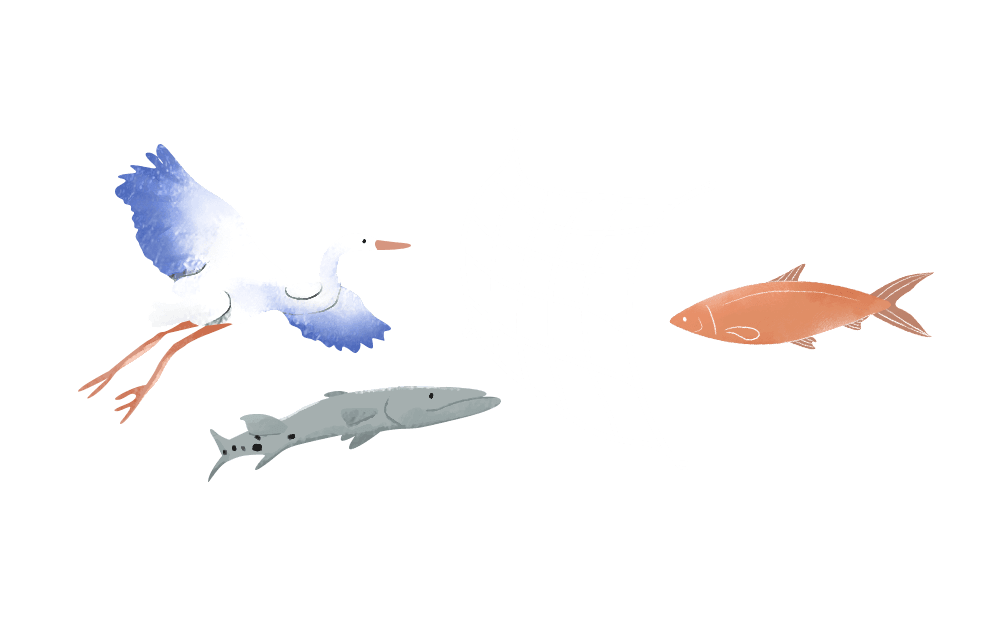 Prime Aqua Sea Farm - Nets are employed to keep the fishes safe from natural predators.