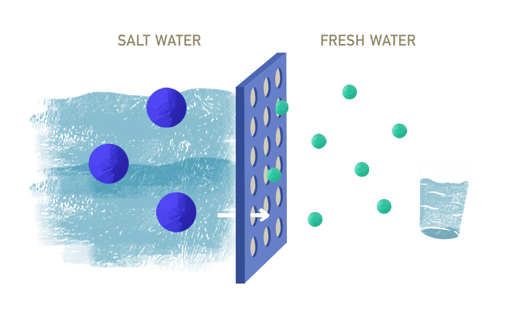 Prime Aqua Sea Farm - The farm is equipped with a seawater treatment system