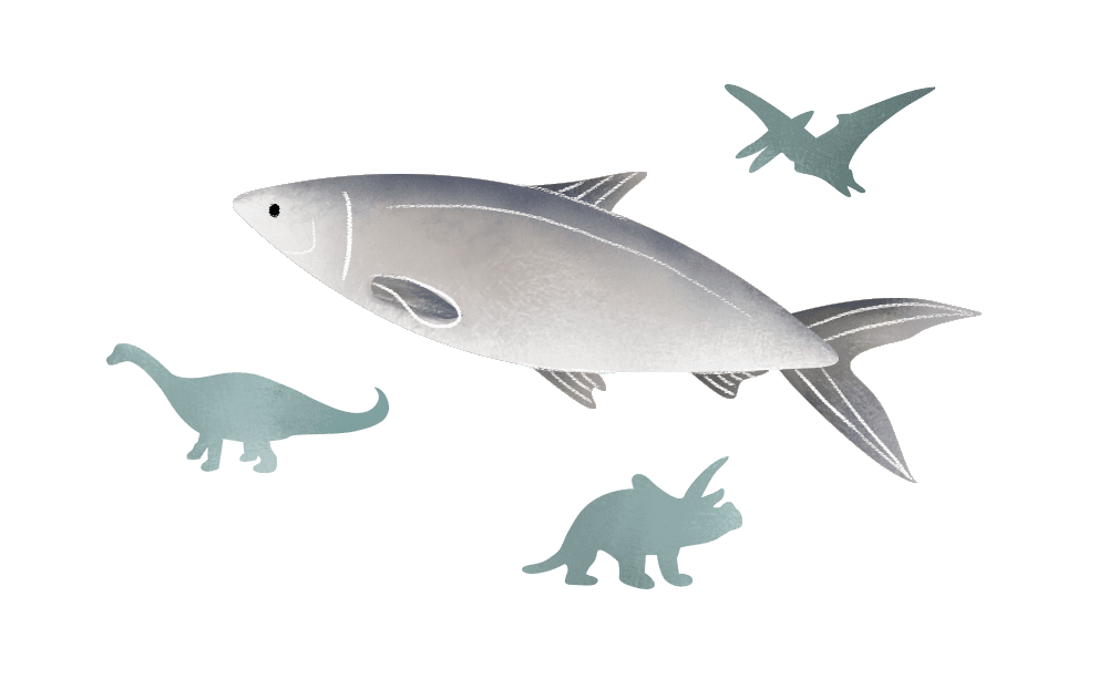 The Fish Farmer - Milkfish have been around for millennia