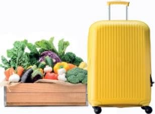 Food that travellers can bring into Singapore