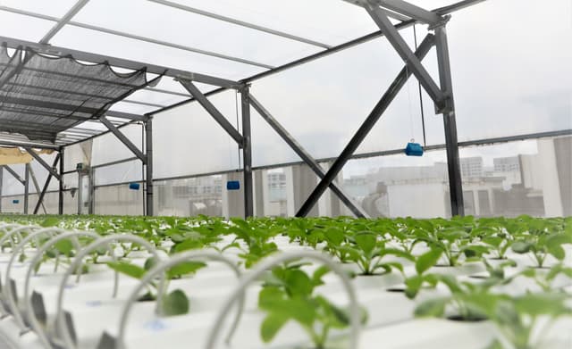 Levelling up Singapore’s food supply resilience