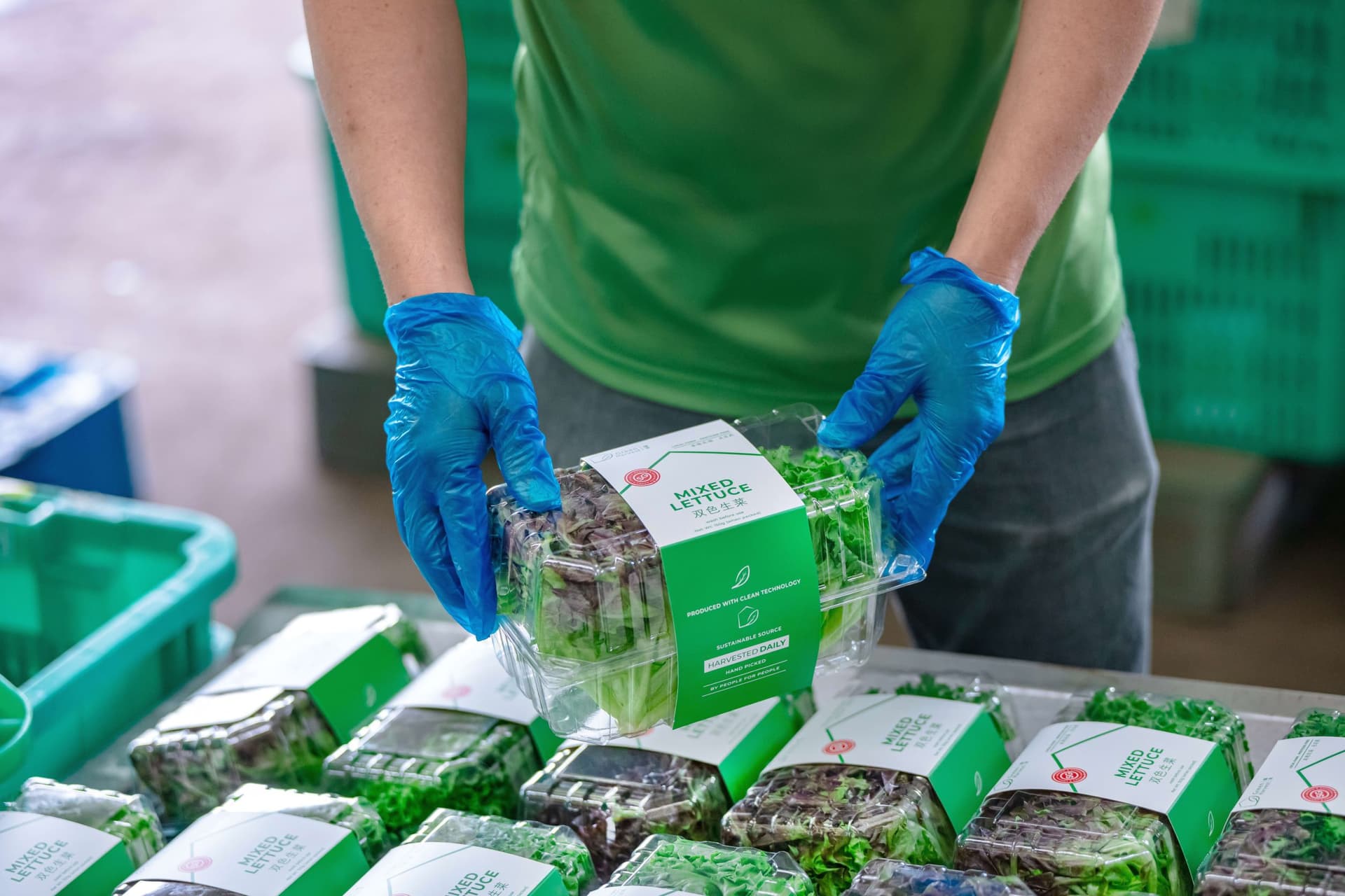 Green Harvest - Consumer goods