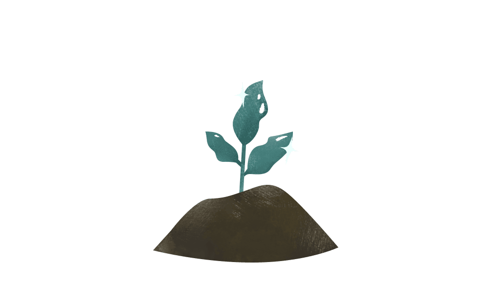 ComCrop - People should pick their vegetables based on how they’re grown