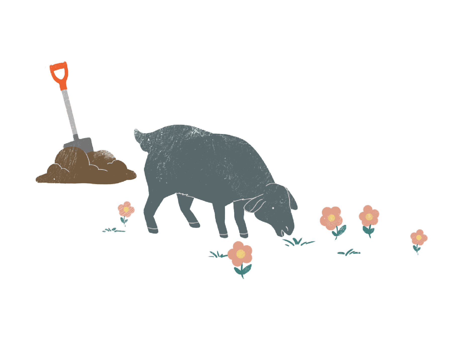 Hay Dairies - repurpose goat waste into compost
