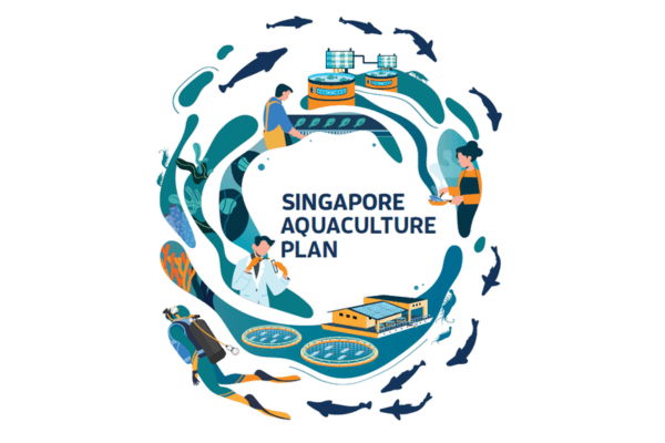 Singapore Aquaculture Plan